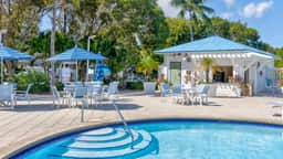 Snorkel & Dive Legendary Coral Reefs - Then Relax Poolside with a Drink! - Image 5