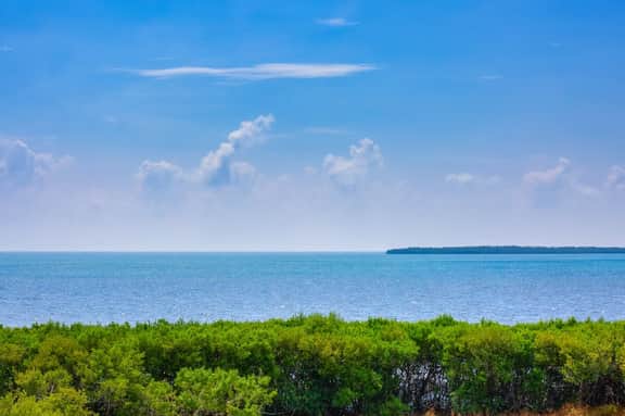 Bright, Sunny Suite with Magnificent Ocean Views - Image 2