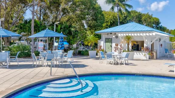 Snorkel & Dive Legendary Coral Reefs - Then Relax Poolside with a Drink! - Image 5